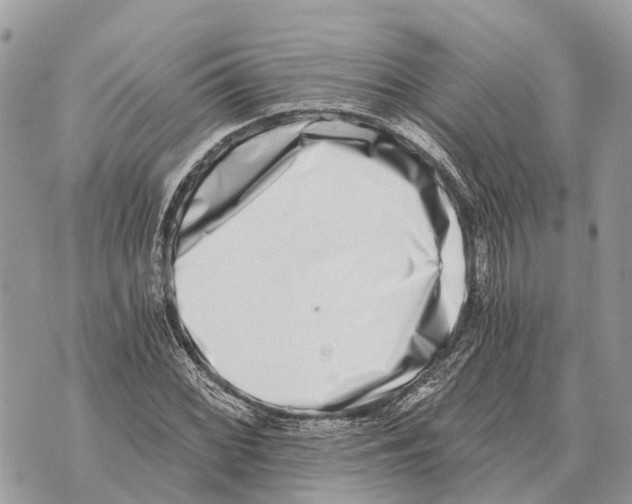 X0000069801068200606161818