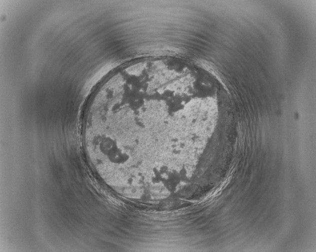 X0000069801071200606161817