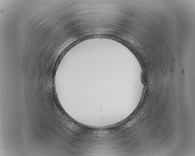 X0000069801073200606161817