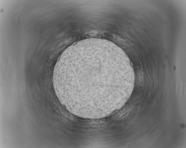 X0000069801105200606161816