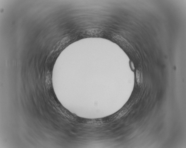 X0000069801107200606161816