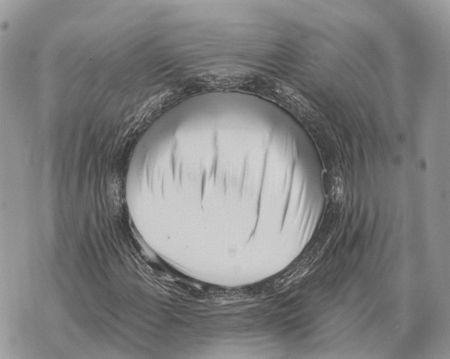 X0000069801108200606161816