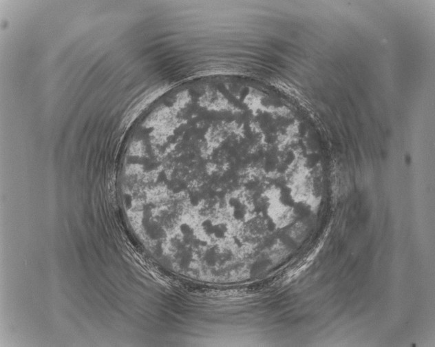 X0000069801121200606161816