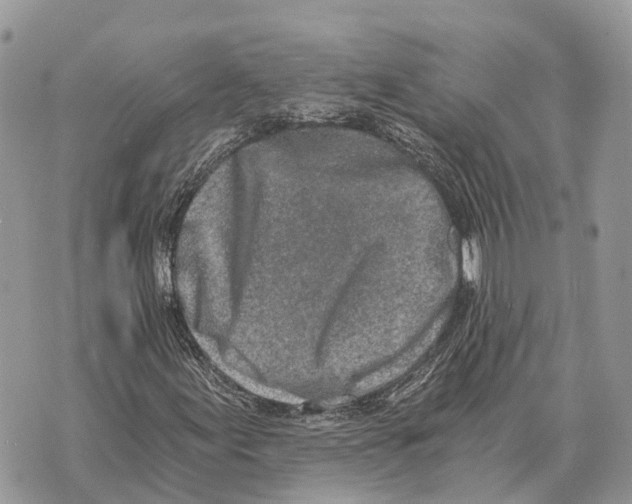 X0000069801155200606161816