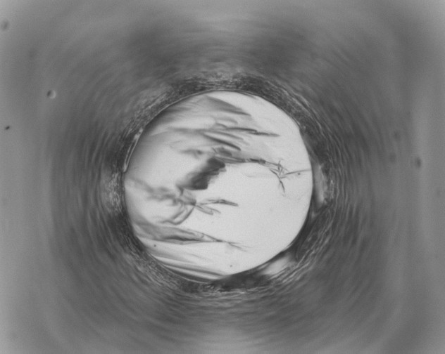 X0000069801156200606161816