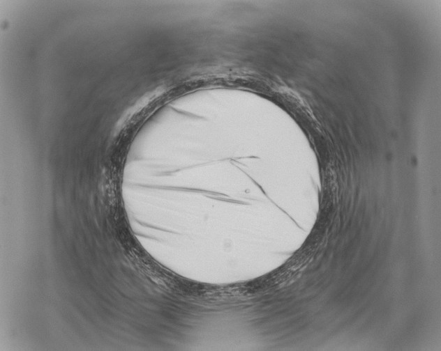 X0000069801159200606161816
