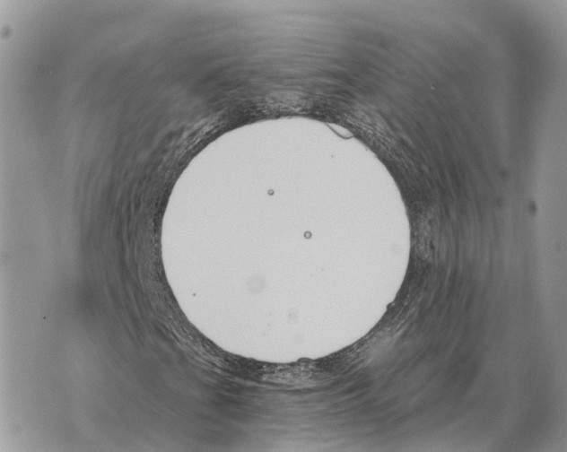 X0000069801201200606161815