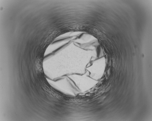X0000069801202200606161815