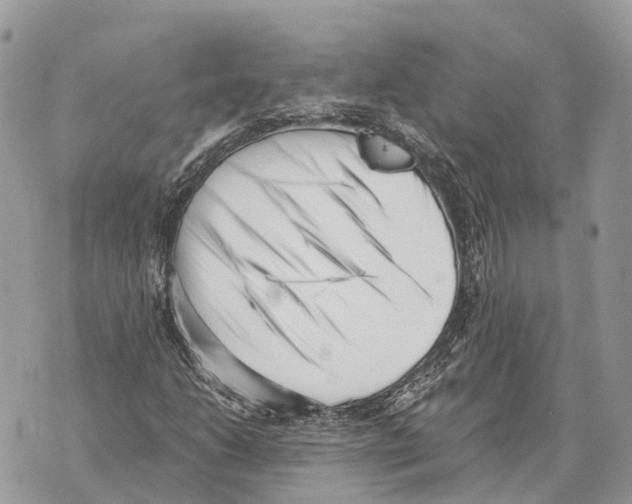 X0000069801206200606161815