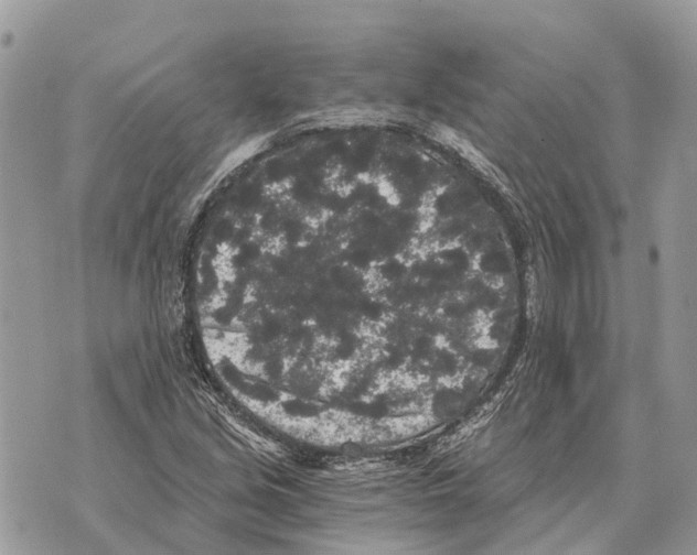 X0000069801213200606161815