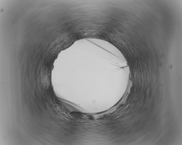 X0000069801250200606161815