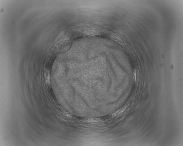 X0000069801251200606161815