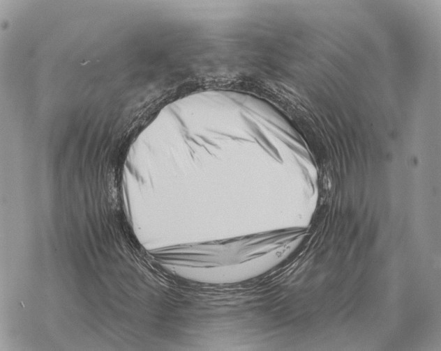 X0000069801252200606161814