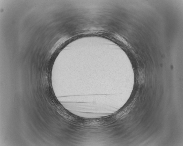 X0000069801259200606161814