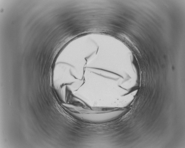 X0000069801276200606161814