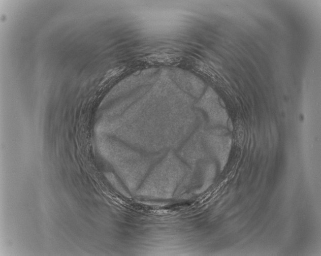 X0000069801297200606161813