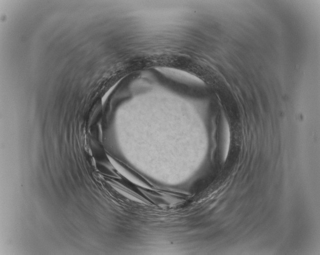X0000069801298200606161813