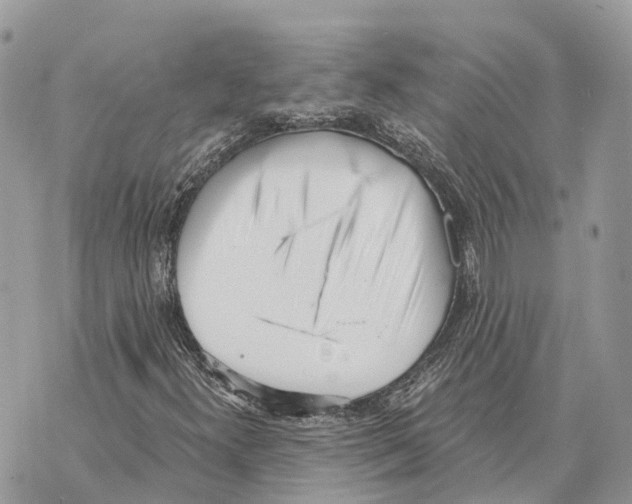 X0000069801300200606161813