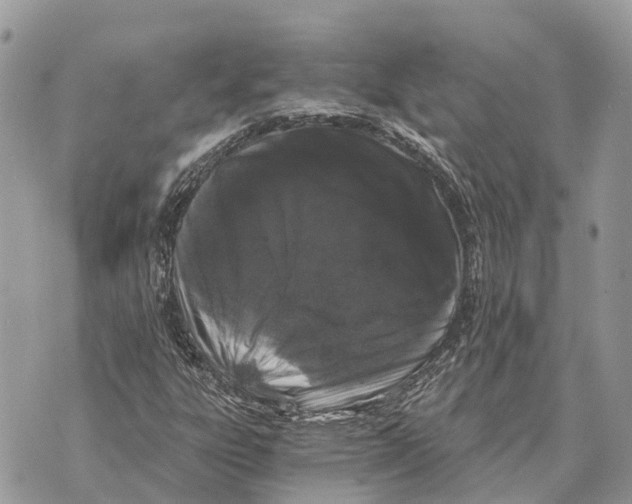 X0000069801303200606161813