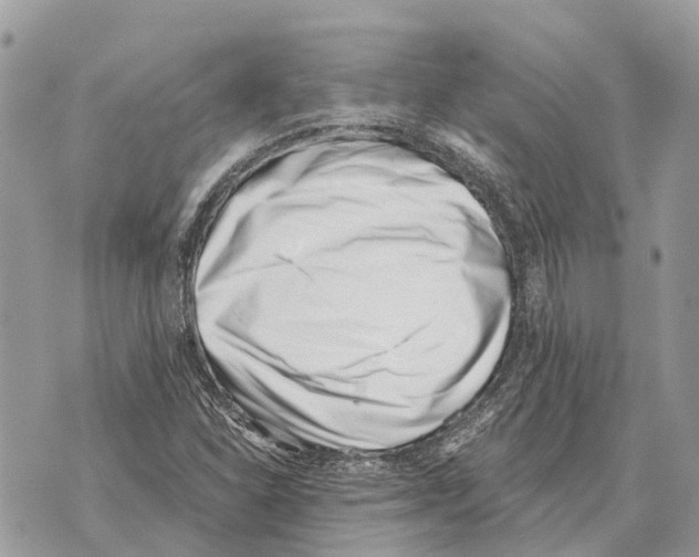 X0000069801310200606161813