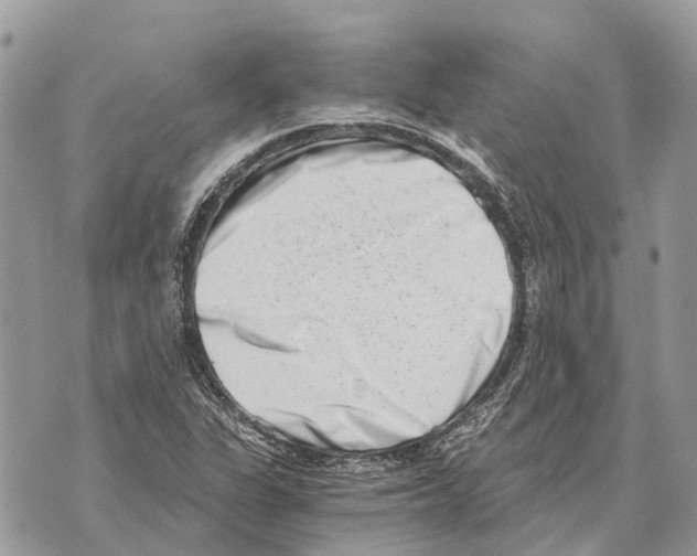 X0000069801311200606161813