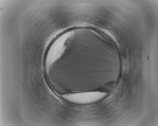 X0000069801327200606161813