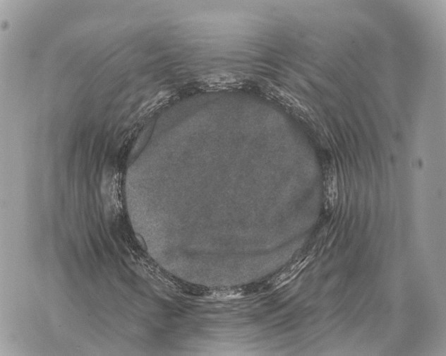X0000069801346200606161813