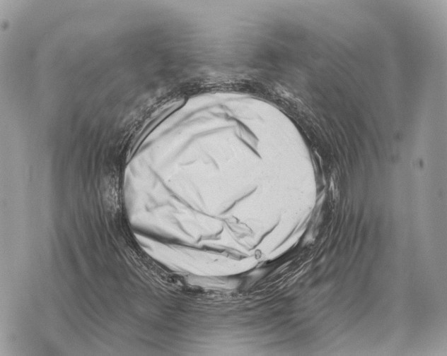 X0000069801348200606161813