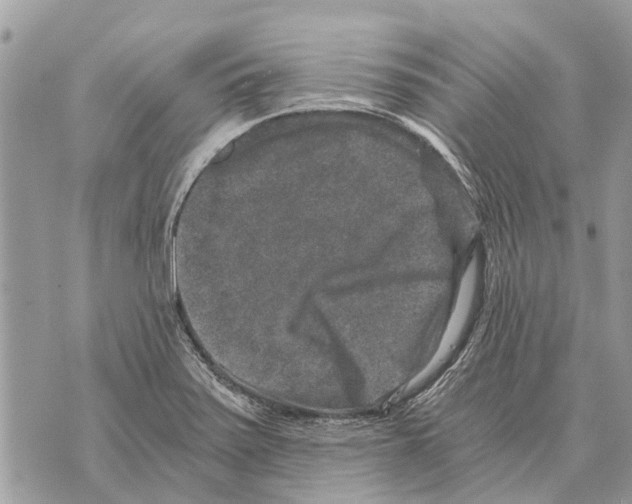 X0000069801371200606161813