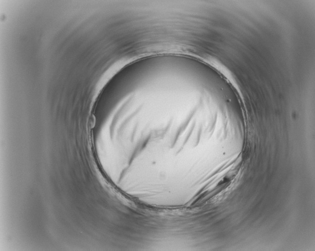 X0000069801389200606161812