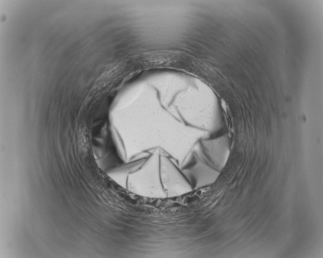 X0000069801394200606161811