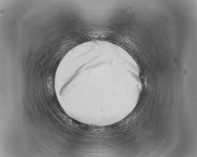X0000069801396200606161811