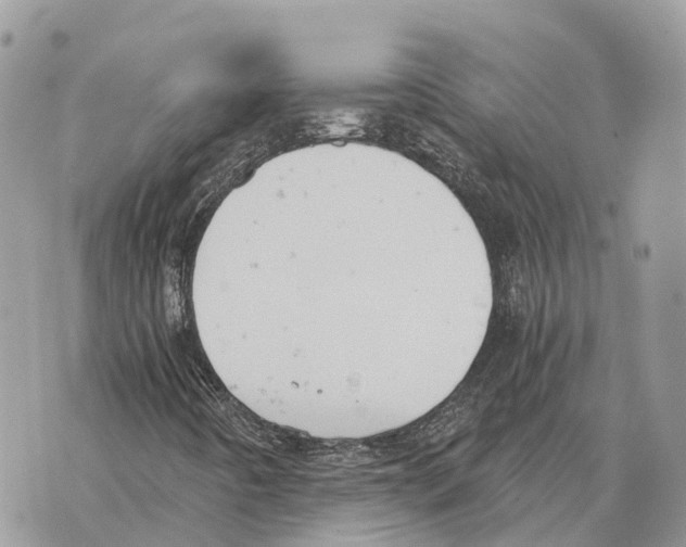 X0000069801442200606161811