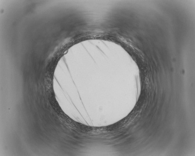 X0000069801447200606161811