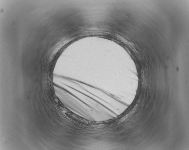 X0000069801453200606161811