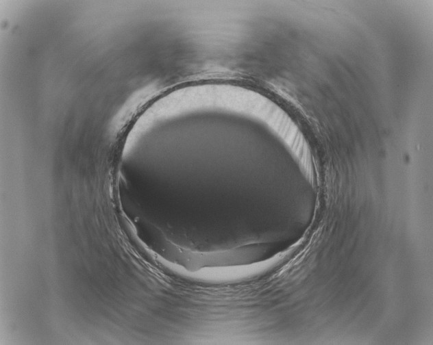 X0000069801455200606161811