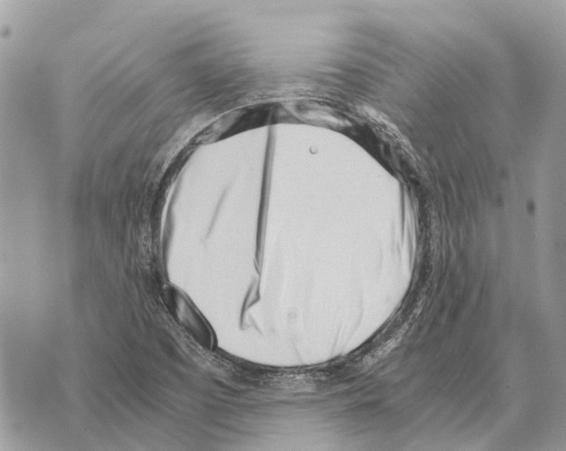 X0000069801457200606161811