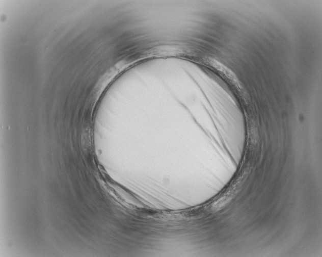 X0000069801473200606161811