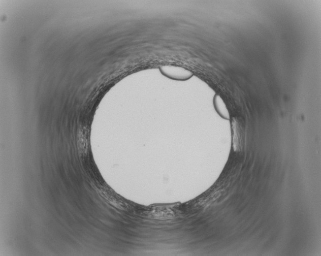X0000069801491200606161810