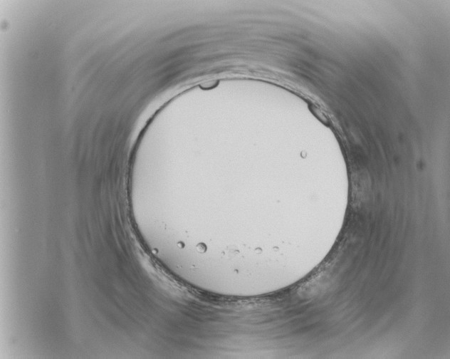 X0000069801530200606161811