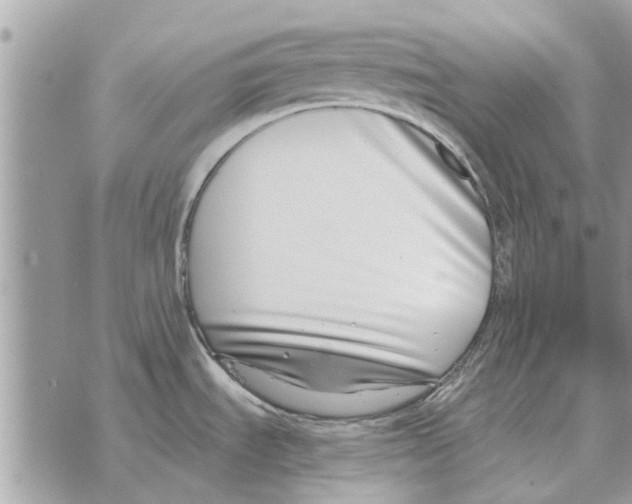 X0000069801535200606161811