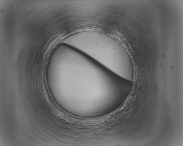 X0000069810001200605190856