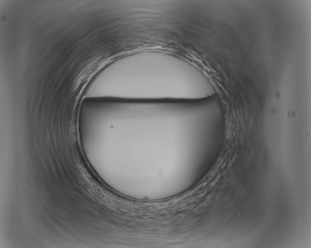 X0000069810002200605190856