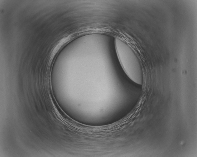 X0000069810003200605190856