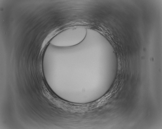 X0000069810004200605190856