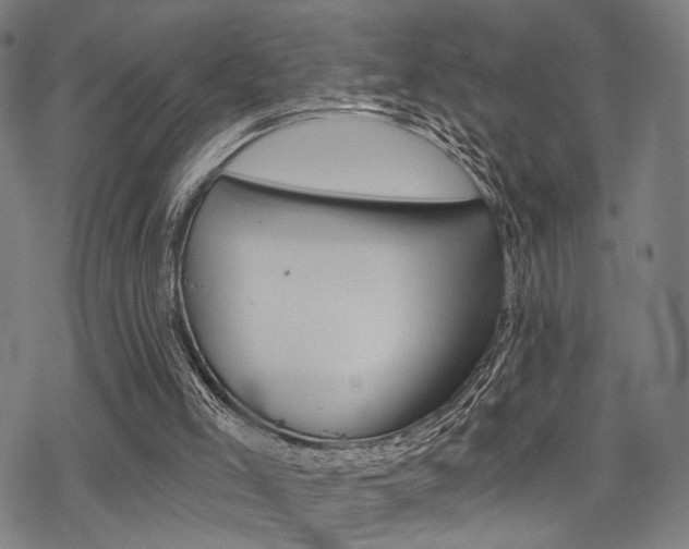 X0000069810005200605190856