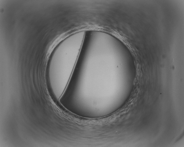 X0000069810007200605190856