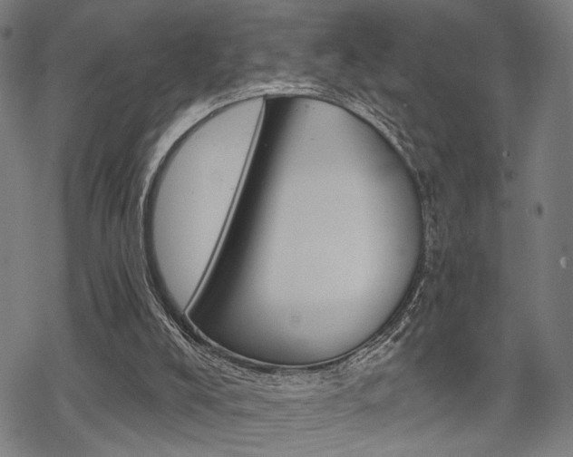 X0000069810008200605190856