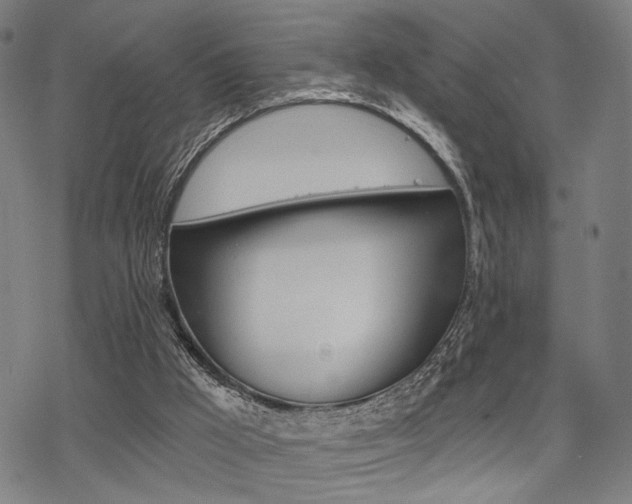 X0000069810009200605190856