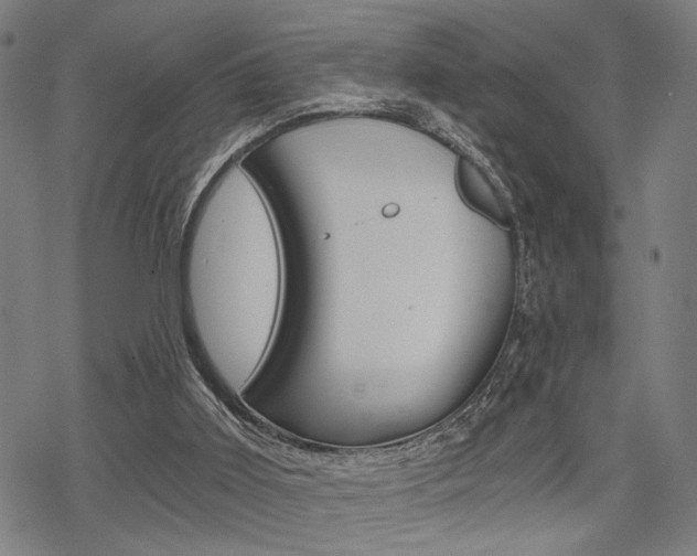 X0000069810011200605190856